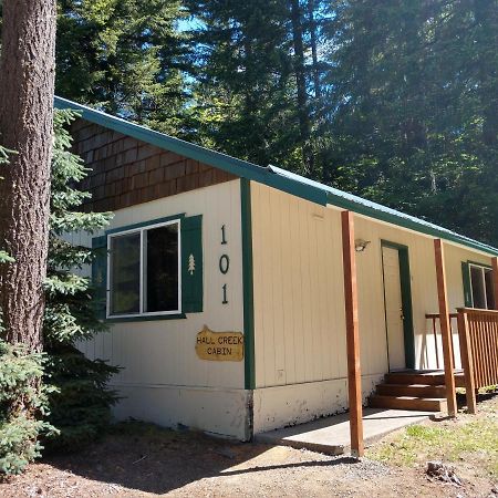 Hall Creek Cabin Packwood Buitenkant foto