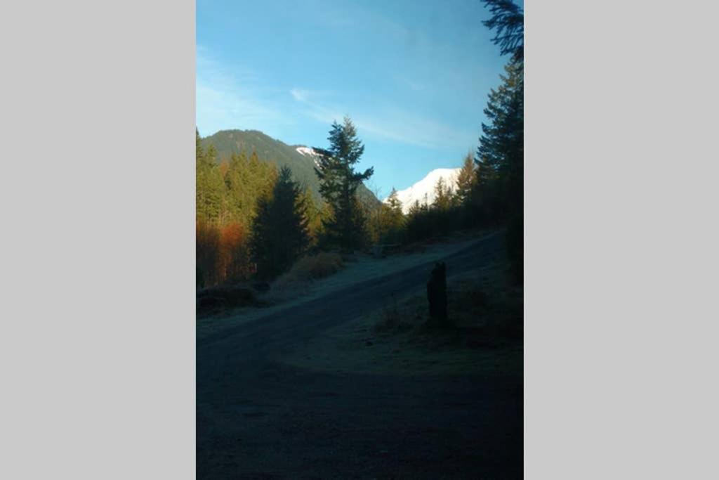 Hall Creek Cabin Packwood Buitenkant foto