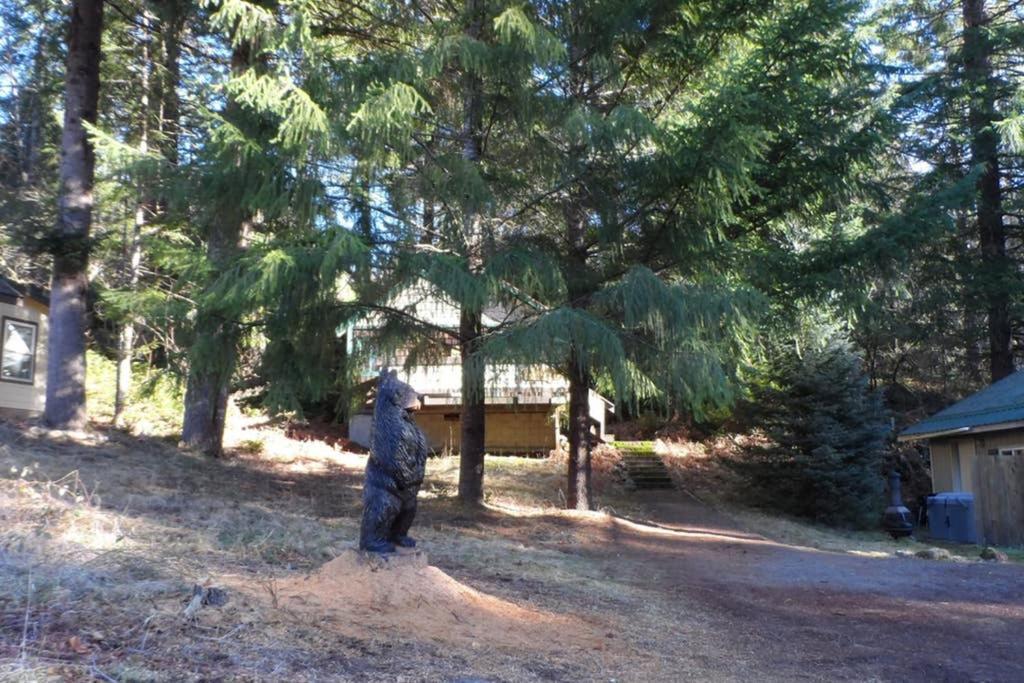 Hall Creek Cabin Packwood Buitenkant foto