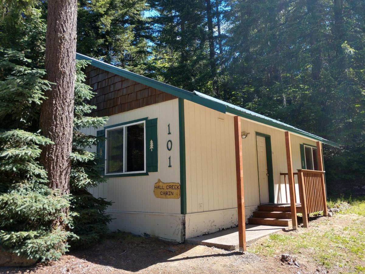 Hall Creek Cabin Packwood Buitenkant foto