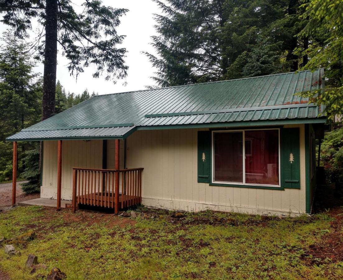 Hall Creek Cabin Packwood Buitenkant foto